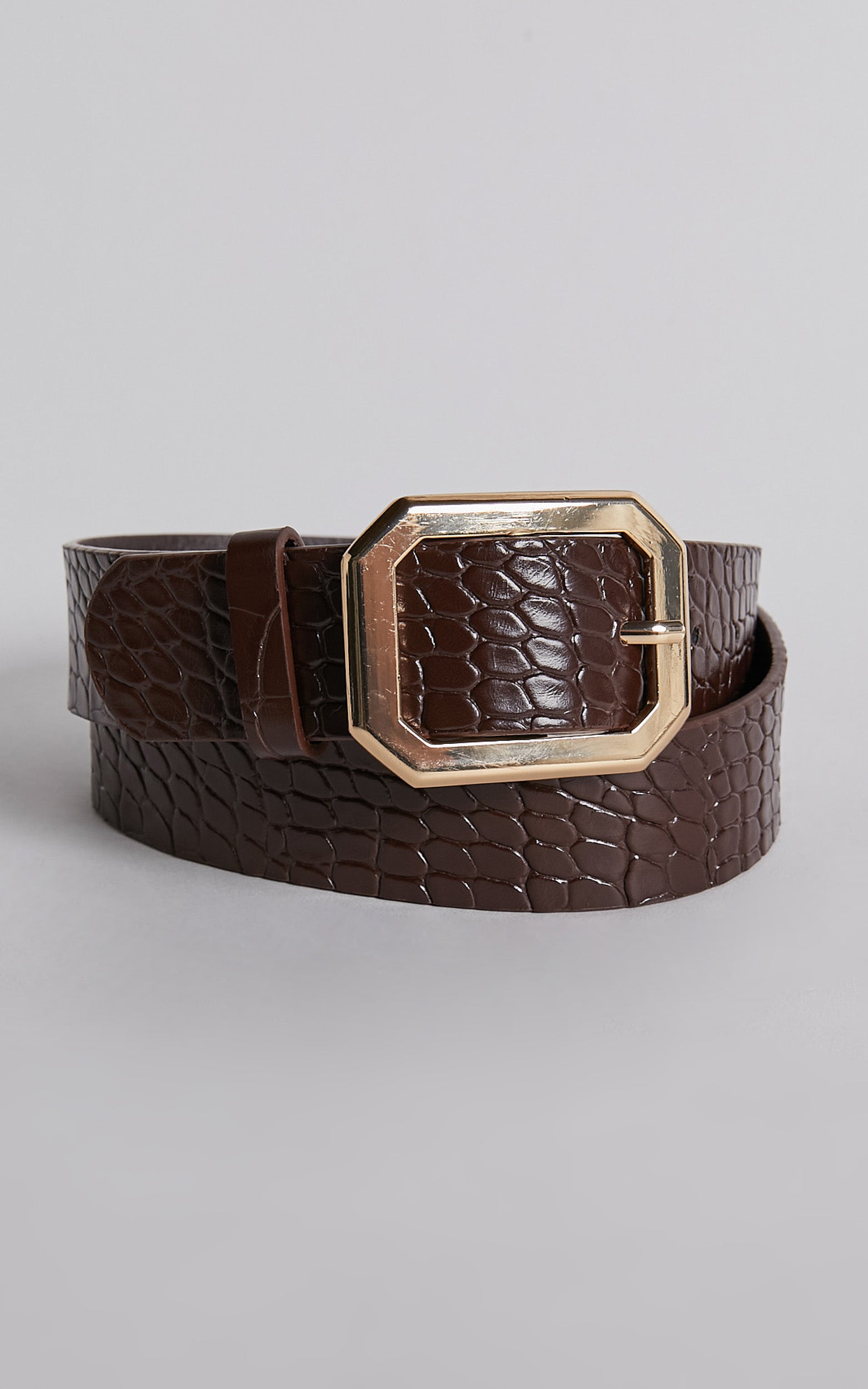 Mason Croc Square Buckle Belt in Chocolate