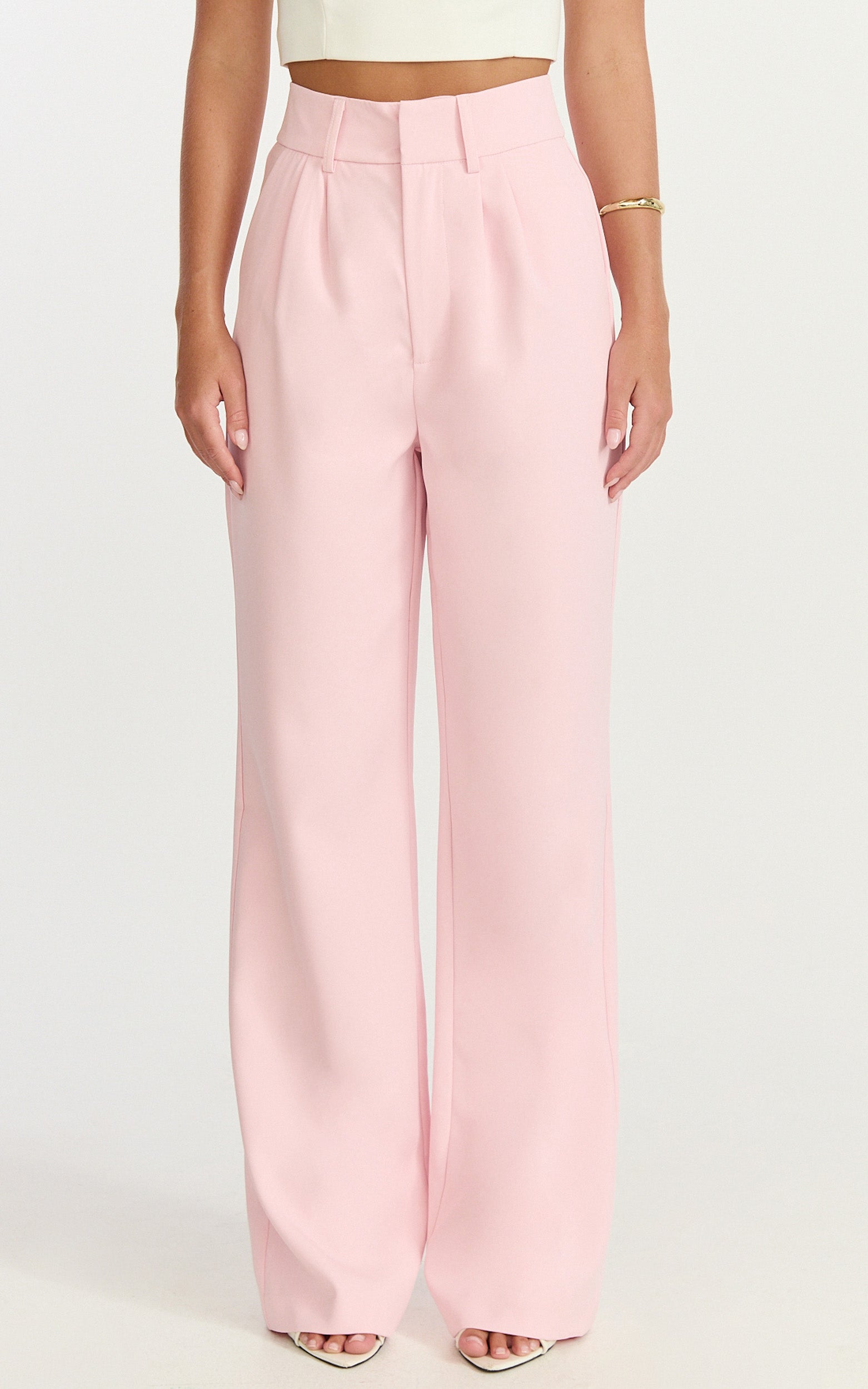 Melissa Pants - Pleat Front Wide Leg Tailored Pants in Pink