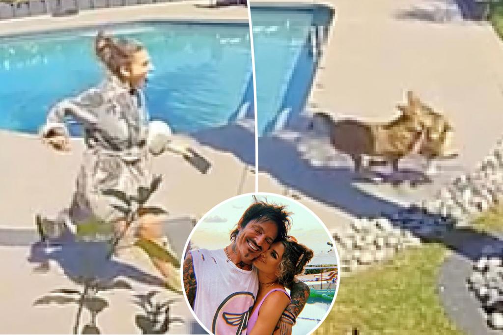 Tommy Lee's Wife Rescues Dog From Coyote Attack