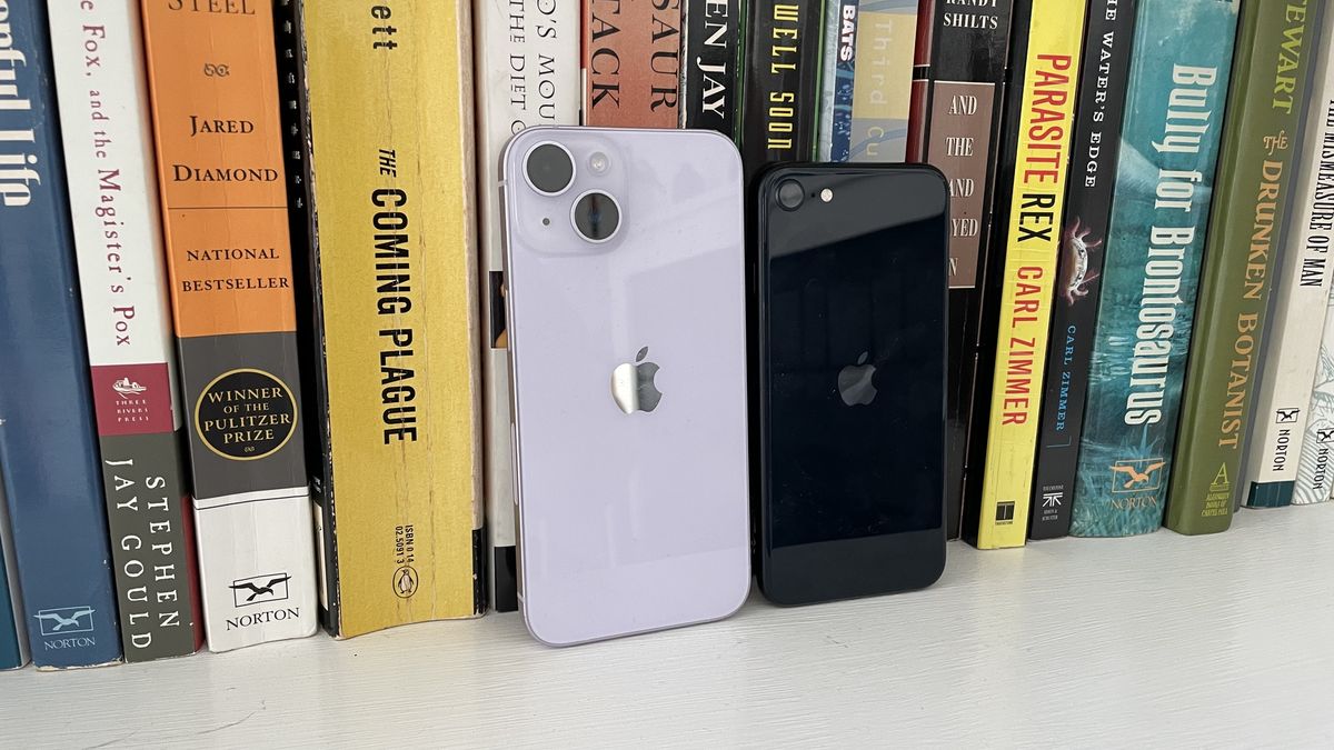 iPhone SE 2024 vs. iPhone 16: Why the Budget Option Wins